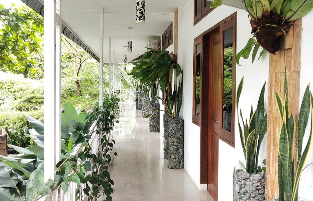New The Heritage Resort & Restaurant Bukit Lawang Bandartelu Exterior photo
